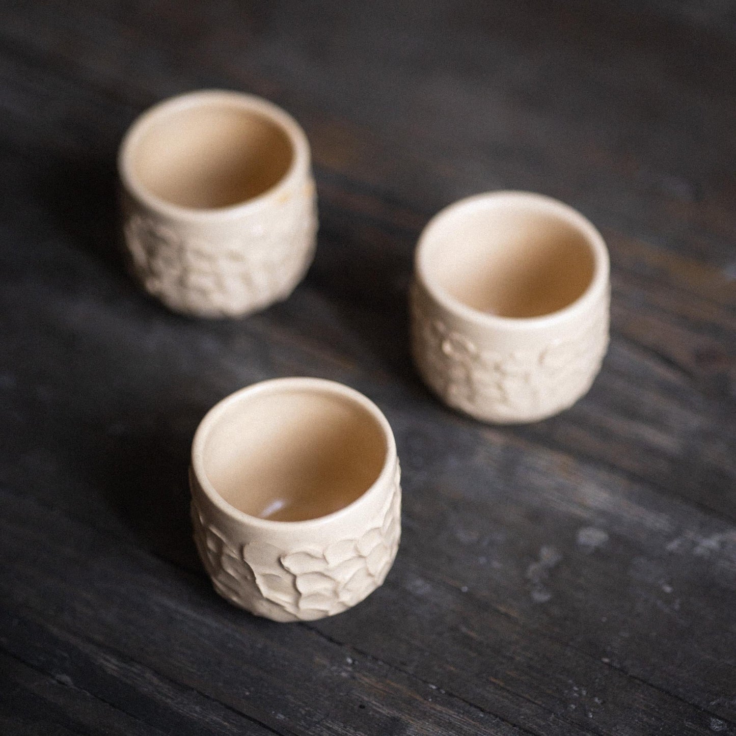 Desert Bloom Mug - Espresso